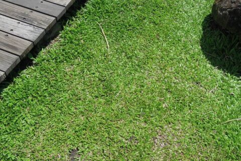 Landscaping Contractors Feltham