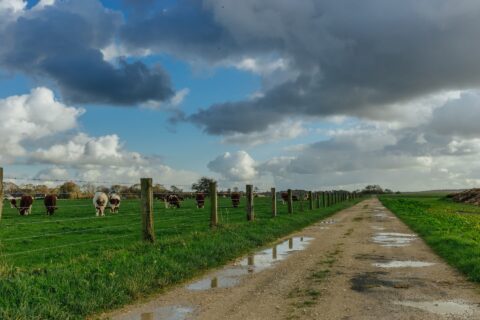 Farm Road Repairs Datchet SL3