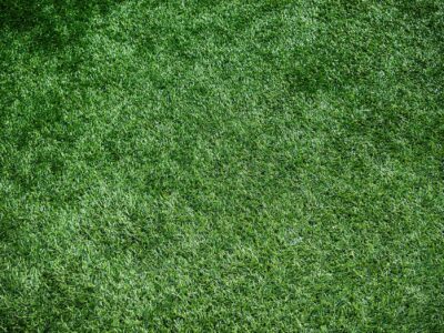 Garden landscaping in Feltham