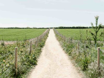 Farm road construction company near me Datchet