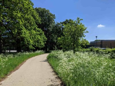 Farm road contractors Datchet